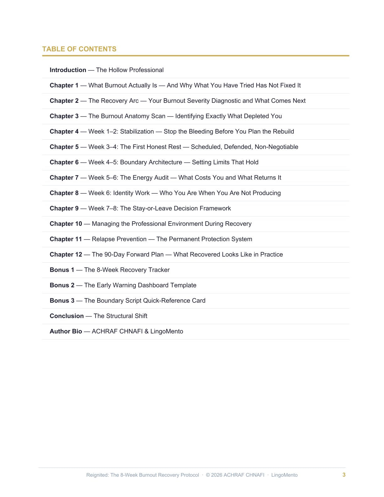 Reignited: The 8-Week Burnout Recovery Protocol